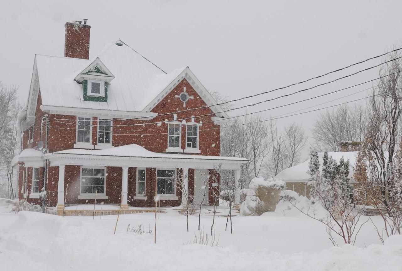 Napier House Διαμέρισμα Campbellton Εξωτερικό φωτογραφία